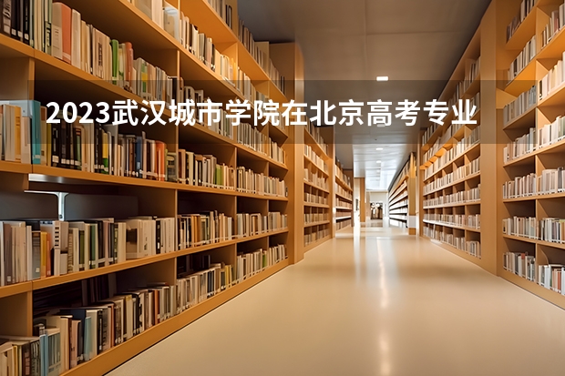 2023武汉城市学院在北京高考专业计划招生多少人