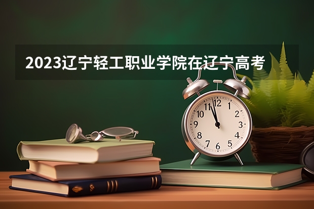 2023辽宁轻工职业学院在辽宁高考专业计划招生多少人