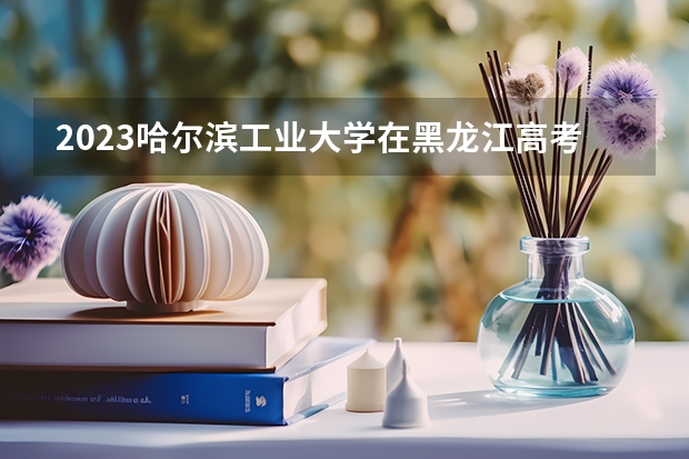 2023哈尔滨工业大学在黑龙江高考专业计划招生多少人