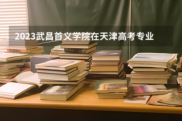 2023武昌首义学院在天津高考专业计划招生多少人